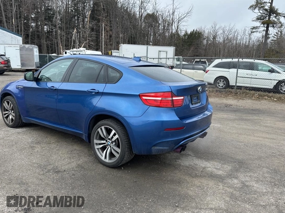 2013 BMW X6 M with VIN 5YMGZ0C57DLL29849, listed as a Copart auction lot 53517205 with 117,400 mi miles and Clean Title. Bid and sale history available at carsss.com. Image 3.