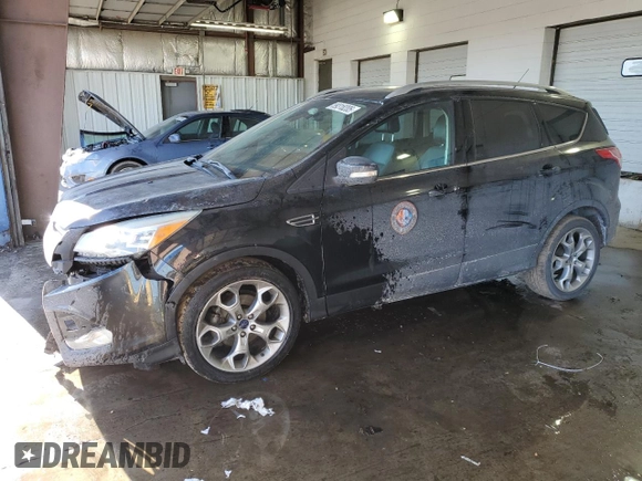 2014 Ford Escape Titanium with VIN 1FMCU0JX2EUD08165, listed as a Copart auction lot 89318205 with 134,721 mi miles and Salvage Title. Bid and sale history available at carsss.com. Image 1.