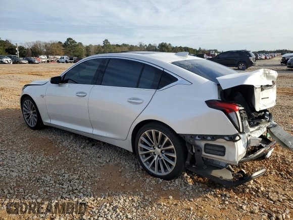 2021 Cadillac CT5 Premium Luxury with VIN 1G6DN5RK2M0125904, listed as a Copart auction lot 42701785 with 76,215 mi miles and Salvage title. Bid and sale history available at DreamBid. Image 2.