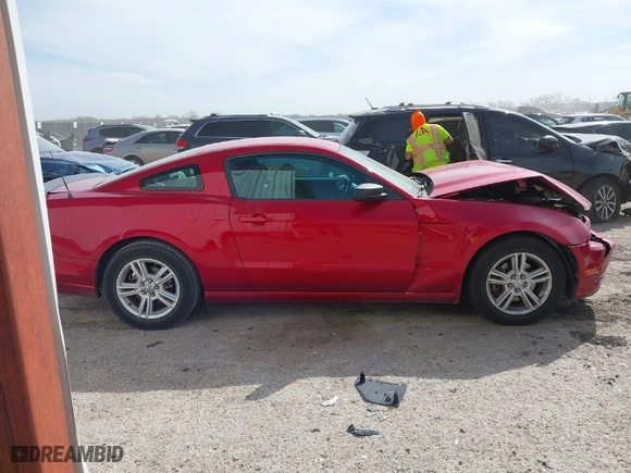 2013 Ford Mustang V6 with VIN 1ZVBP8AM9D5254770, listed as a IAAI auction lot 41828023 with 97,926 mi miles. Bid and sale history available at carsss.com. Image 13.