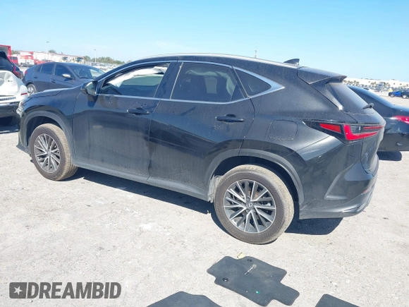 2024 Lexus NX 250 с VIN 2T2ADCAZ0RC010937, выставлен на аукционе IAAI как лот 41479185 с пробегом 19 996 миль миль и . История ставок и продаж доступна на DreamBid. Изображение 3.