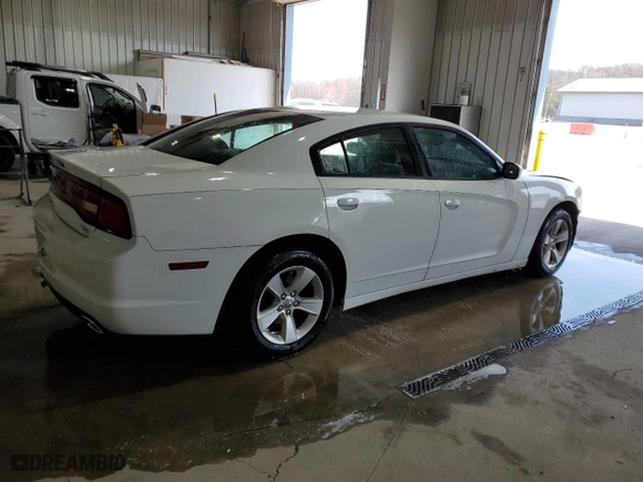 2011 Dodge Charger Rallye with VIN 2B3CL3CG3BH525052, listed as a Copart auction lot 48298315 with 174,197 mi miles and Salvage Title. Bid and sale history available at carsss.com. Image 3.