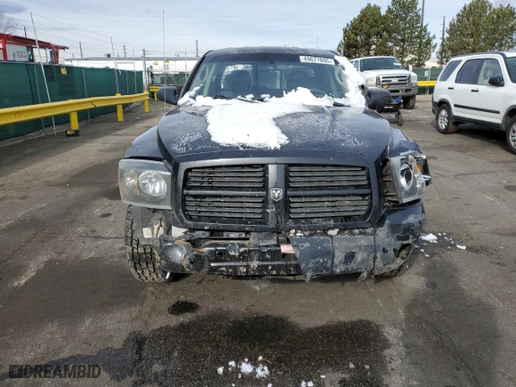2006 Dodge Dakota SLT with VIN 1D7HW48N66S716560, listed as a Copart auction lot 49677695 with 163,717 mi miles and Salvage Title. Bid and sale history available at carsss.com. Image 5.