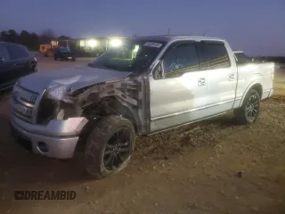 2009 Ford F-150 XL with VIN 1FTPW14V29FA39062, listed as a Copart auction lot 44239455 with 231,207 mi miles and Salvage title. Bid and sale history available at DreamBid. Image 1.