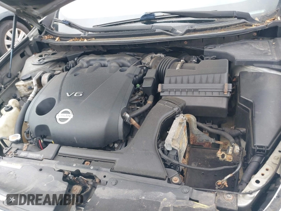 2009 Nissan Maxima S с VIN 1N4AA51E19C827371, выставлен на аукционе IAAI как лот 42306914 с пробегом 263 226 миль миль и . История ставок и продаж доступна на DreamBid. Изображение 10.