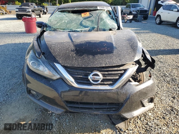 2016 Nissan Altima SL with VIN 1N4BL3AP9GC265026, listed as a Copart auction lot 53981365 with Not provided miles and Salvage title. Bid and sale history available at DreamBid. Image 5.