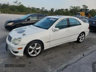 2005 Mercedes-Benz C with VIN WDBRF40J95F663026, listed as a Copart auction lot 53573595 with Not Provided miles and Salvage Title. Bid and sale history available at DreamBid. Image 1.