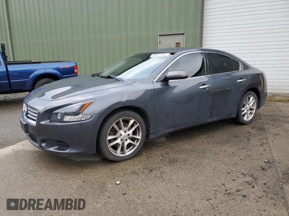 2013 Nissan Maxima SV with VIN 1N4AA5AP2DC831357, listed as a Copart auction lot 49507355 with 206,941 mi miles and Clean title. Bid and sale history available at DreamBid. Image 1.