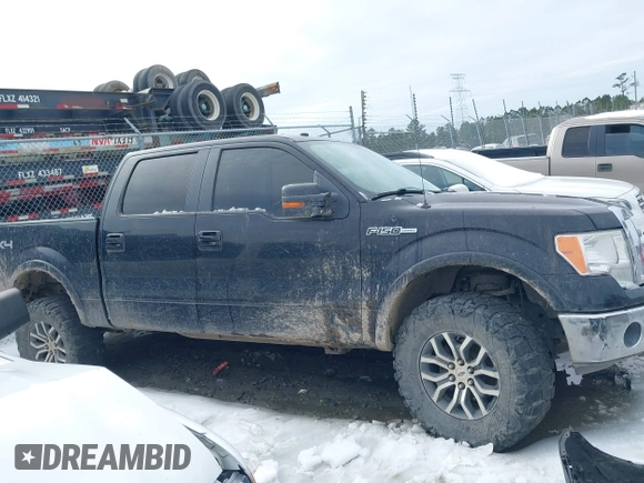 2010 Ford F-150 XL with VIN 1FTFW1EVXAFA74365, listed as a IAAI auction lot 41354493 with 196,559 mi miles. Bid and sale history available at carsss.com. Image 13.
