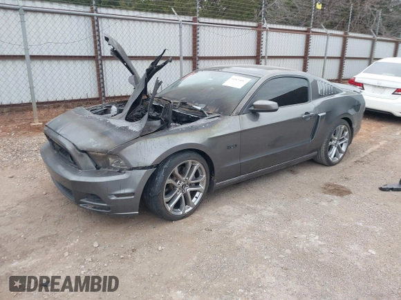 2013 Ford Mustang GT with VIN 1ZVBP8CF9D5232069, listed as a IAAI auction lot 41825087 with Not provided miles and . Bid and sale history available at DreamBid. Image 2.