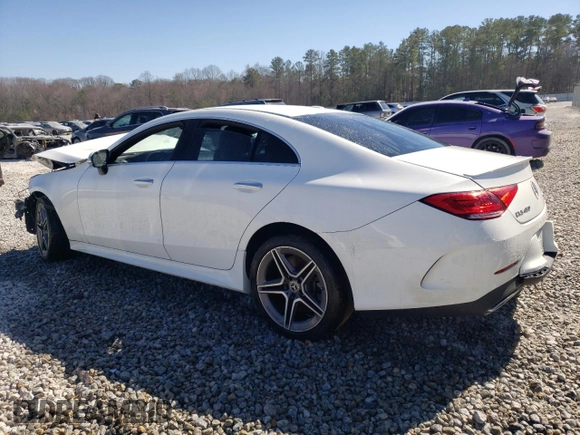 2019 Mercedes-Benz CLS with VIN WDD2J5KB6KA028356, listed as a Copart auction lot 46894815 with 0 mi miles and Clean Title. Bid and sale history available at carsss.com. Image 2.