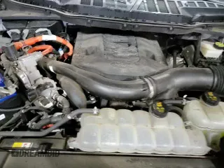 2021 Ford F-150 XL with VIN 1FTFW1ED0MFA94104, listed as a Copart auction lot 89804255 with 79,529 mi miles and Salvage title. Bid and sale history available at DreamBid. Image 13.