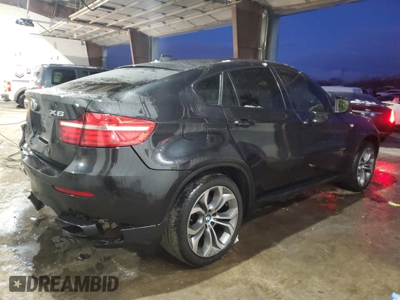 2013 BMW X6 xDrive50i with VIN 5UXFG8C52DL591320, listed as a Copart auction lot 85690334 with 0 mi miles and Salvage Title. Bid and sale history available at carsss.com. Image 3.