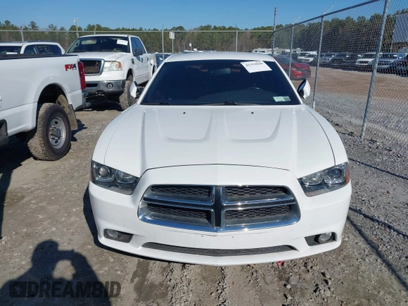 2013 Dodge Charger RT with VIN 2C3CDXDT1DH503587, listed as a IAAI auction lot 41354849 with 122,824 mi miles. Bid and sale history available at carsss.com. Image 12.