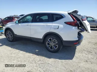 2020 Honda CR-V EX with VIN 2HKRW2H55LH689235, listed as a Copart auction lot 53967155 with 49,166 mi miles and Salvage Title. Bid and sale history available at carsss.com. Image 2.