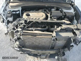 2020 Hyundai Santa Fe Limited with VIN 5NMS53AA8LH241716, listed as a Copart auction lot 49507045 with 52,755 mi miles and Salvage Title. Bid and sale history available at carsss.com. Image 13.