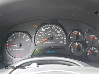 2009 Chevrolet TrailBlazer 1LT with VIN 1GNDS33S692131369, listed as a IAAI auction lot 42036301 with 249,593 mi miles and . Bid and sale history available at DreamBid. Image 7.