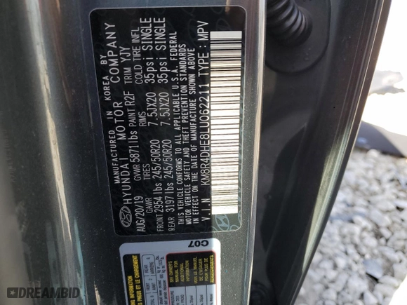 2020 Hyundai Palisade SEL with VIN KM8R4DHE8LU062211, listed as a Copart auction lot 49694245 with 55,160 mi miles and Salvage Title. Bid and sale history available at carsss.com. Image 15.