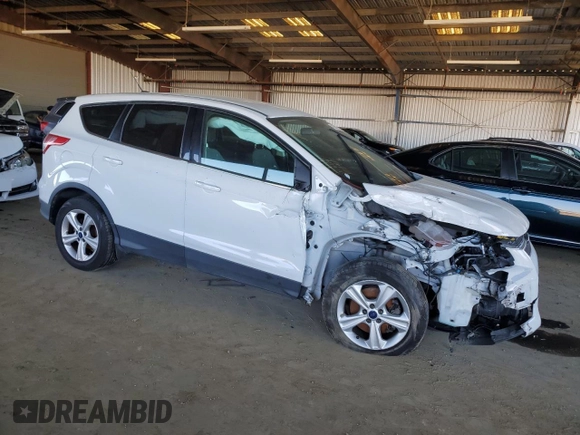2014 Ford Escape SE with VIN 1FMCU0G96EUE01263, listed as a Copart auction lot 42643205 with 183,908 mi miles and Salvage Title. Bid and sale history available at carsss.com. Image 4.