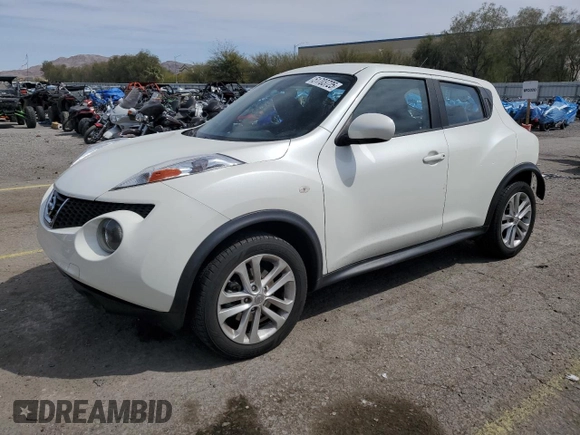2013 Nissan Juke S with VIN JN8AF5MR2DT216949, listed as a Copart auction lot 53165925 with 124,800 mi miles and Salvage Title. Bid and sale history available at carsss.com. Image 1.