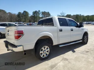 2013 Ford F-150 XL with VIN 1FTFW1CF3DFA09826, listed as a Copart auction lot 48465775 with 173,007 mi miles and Salvage Title. Bid and sale history available at carsss.com. Image 3.
