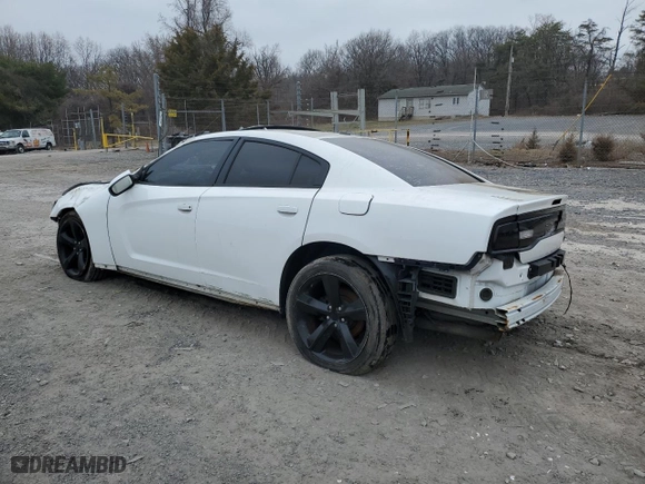 2013 Dodge Charger RT Max with VIN 2C3CDXCT1DH744616, listed as a Copart auction lot 49173565 with 127,644 mi miles and Salvage Title. Bid and sale history available at carsss.com. Image 2.