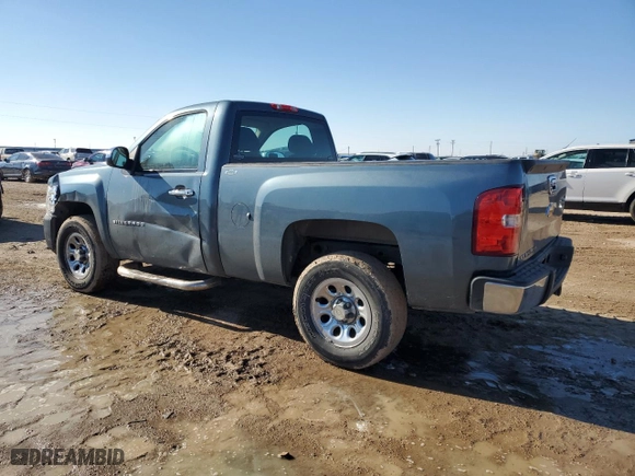 2012 Chevrolet Silverado 1500 Work Truck with VIN 1GCNCPEX2CZ194347, listed as a Copart auction lot 41625945 with 124,846 mi miles and Salvage Title. Bid and sale history available at carsss.com. Image 2.