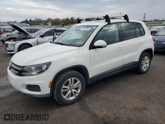 2013 Volkswagen Tiguan S with VIN WVGAV3AX7DW596953, listed as a Copart auction lot 53107845 with 131,732 mi miles and Clean title. Bid and sale history available at DreamBid. Image 1.