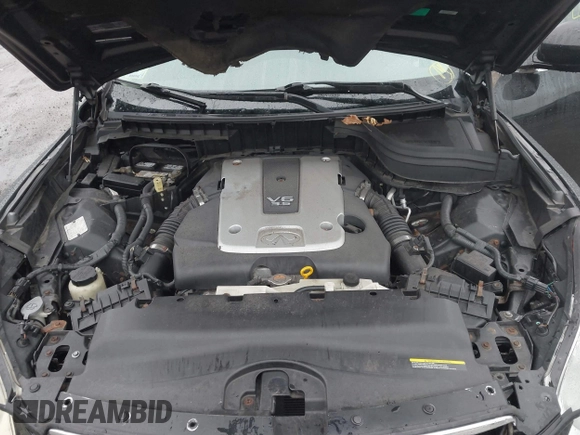 2010 Infiniti EX Journey with VIN JN1AJ0HRXAM750703, listed as a IAAI auction lot 42177326 with 195,782 mi miles and . Bid and sale history available at DreamBid. Image 10.