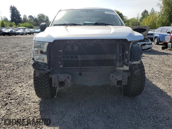 2016 Ford F-150 XL with VIN 1FTEW1CF3GKE75117, listed as a Copart auction lot 54048985 with 132,513 mi miles and Salvage title. Bid and sale history available at DreamBid. Image 5.