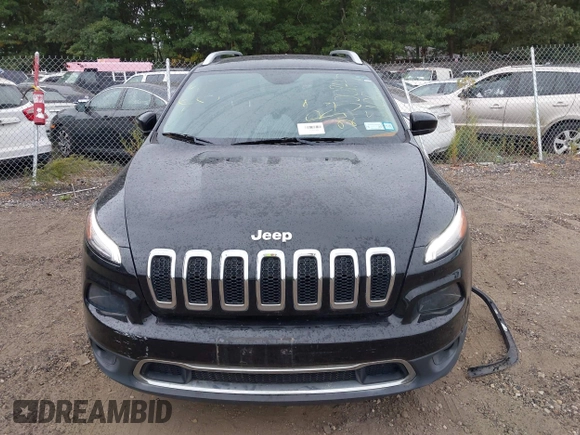 2017 Jeep Cherokee Limited with VIN 1C4PJMDB9HW519538, listed as a IAAI auction lot 40453846 with 113,785 mi miles. Bid and sale history available at carsss.com. Image 12.