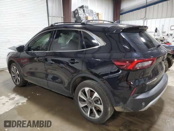 2024 Ford Escape Platinum with VIN 1FMCU9JA8RUA68559, listed as a Copart auction lot 44726765 with 17,442 mi miles and Salvage Title. Bid and sale history available at DreamBid. Image 2.