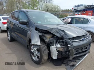 2015 Ford Escape SE with VIN 1FMCU9GX5FUC52980, listed as a IAAI auction lot 42106795 with Not Provided miles and . Bid and sale history available at DreamBid. Image 1.