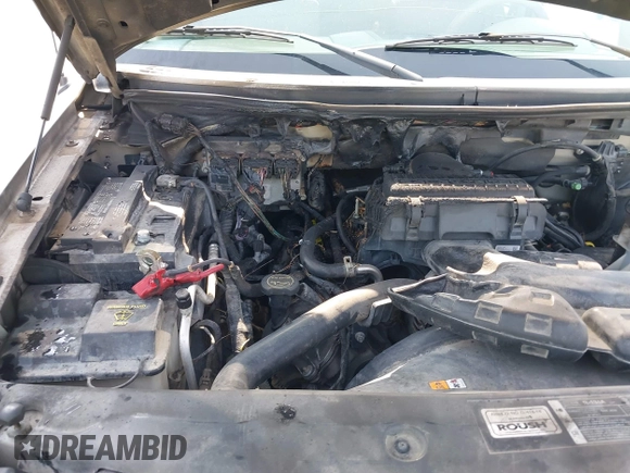 2006 Ford F-150 XLT with VIN 1FTPX14526FA06622, listed as a IAAI auction lot 42401659 with Not provided miles and . Bid and sale history available at DreamBid. Image 6.