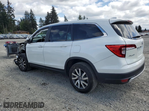 2020 Honda Pilot EX-L with VIN 5FNYF6H53LB041278, listed as a Copart auction lot 56803155 with 48,268 mi miles and Salvage title. Bid and sale history available at DreamBid. Image 2.
