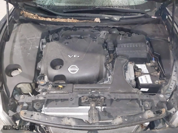 2009 Nissan Maxima 3.5 S with VIN 1N4AA51E19C852416, listed as a IAAI auction lot 41328132 with 145,498 mi miles. Bid and sale history available at carsss.com. Image 10.