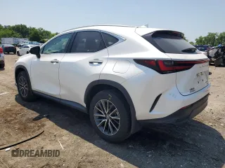 2024 Lexus NX 350 Premium with VIN 2T2GGCEZ0RC056702, listed as a Copart auction lot 62602755 with 13,317 mi miles and Salvage title. Bid and sale history available at DreamBid. Image 2.