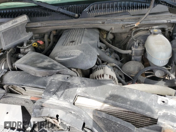 2003 Chevrolet Silverado 1500 LS with VIN 1GCEK14T73Z343155, listed as a Copart auction lot 53270774 with Not Provided miles and Non Repairable. Bid and sale history available at DreamBid. Image 11.