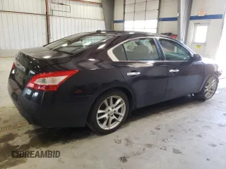 2010 Nissan Maxima SV with VIN 1N4AA5AP1AC823245, listed as a Copart auction lot 63808285 with 199,173 mi miles and Salvage title. Bid and sale history available at DreamBid. Image 3.