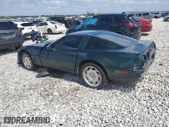 1994 Chevrolet Corvette with VIN 1G1YY22P9R5104819, listed as a Copart auction lot 55630535 with 75,430 mi miles and Salvage title. Bid and sale history available at DreamBid. Image 2.