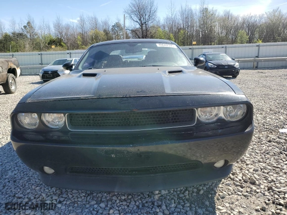 2013 Dodge Challenger SXT with VIN 2C3CDYAG9DH619925, listed as a Copart auction lot 49042595 with 237,638 mi miles and Salvage Title. Bid and sale history available at carsss.com. Image 5.