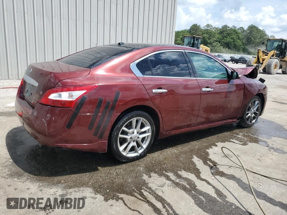2011 Nissan Maxima SV with VIN 1N4AA5AP4BC803251, listed as a Copart auction lot 54406115 with 174,120 mi miles and Salvage title. Bid and sale history available at DreamBid. Image 3.