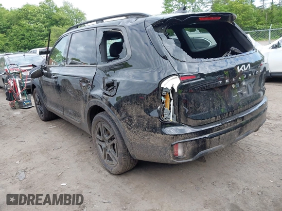 2024 Kia Telluride SX Prestige X-Pro with VIN 5XYP5DGC8RG520090, listed as a IAAI auction lot 42391085 with 9,513 mi miles and . Bid and sale history available at DreamBid. Image 3.