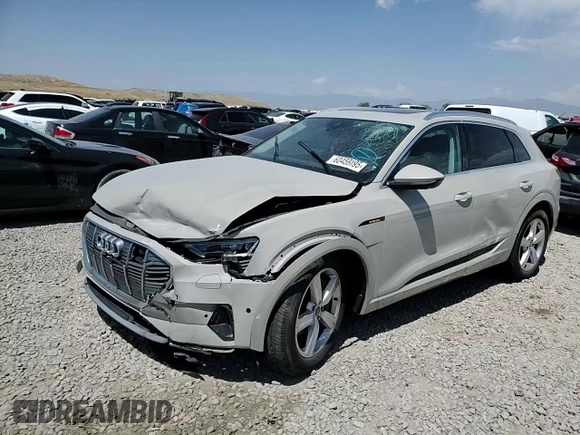 2019 Audi e-tron Premium Plus with VIN WA1LAAGE2KB024948, listed as a Copart auction lot 60459195 with 57,391 mi miles and Salvage title. Bid and sale history available at DreamBid. Image 14.