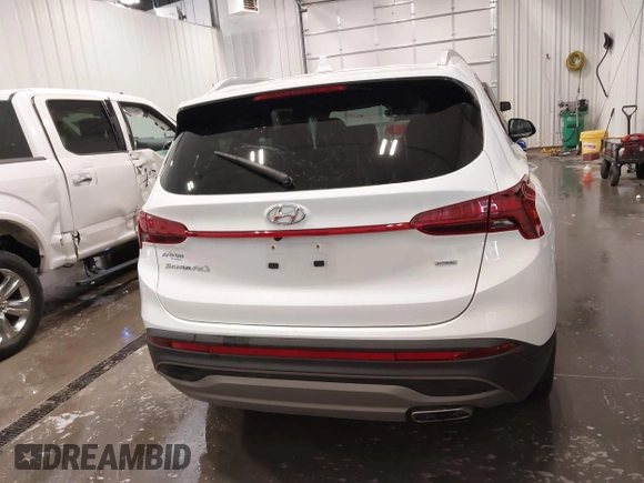 2023 Hyundai Santa Fe SEL with VIN 5NMS2DAJ1PH519716, listed as a IAAI auction lot 41782332 with 48,057 mi miles and . Bid and sale history available at DreamBid. Image 16.