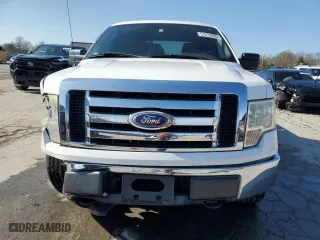 2010 Ford F-150 XL with VIN 1FTFW1EVXAKE09177, listed as a Copart auction lot 52142525 with 113,336 mi miles and Salvage Title. Bid and sale history available at carsss.com. Image 5.
