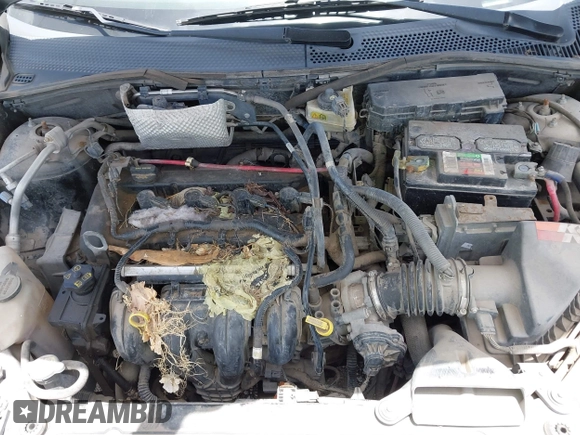 2008 Ford Focus SE with VIN 1FAHP35N28W227919, listed as a IAAI auction lot 42529123 with 193,546 mi miles and . Bid and sale history available at DreamBid. Image 10.