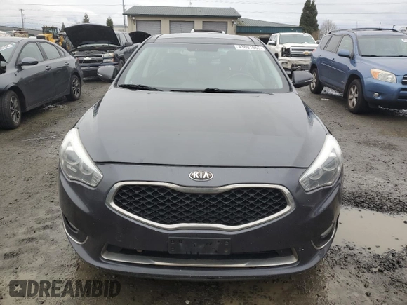 2014 Kia Cadenza Premium with VIN KNALN4D75E5125385, listed as a Copart auction lot 43601965 with 179,878 mi miles and Clean Title. Bid and sale history available at carsss.com. Image 5.