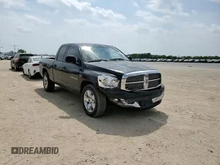 2007 Dodge Ram 1500 SLT with VIN 1D7HA18297S243676, listed as a Copart auction lot 53876635 with 269,766 mi miles and Salvage Title. Bid and sale history available at carsss.com. Image 13.
