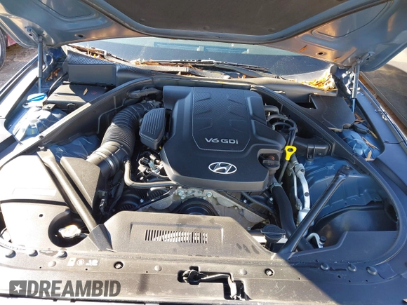 2015 Hyundai Genesis 3.8L with VIN KMHGN4JE7FU038338, listed as a IAAI auction lot 41062654 with 163,468 mi miles and . Bid and sale history available at DreamBid. Image 10.